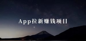 app拉新，拉新工作室，单人日产几百（渠道+教程）-独家科技资源网
