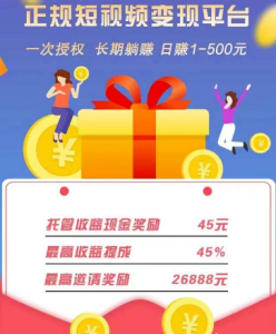 闲置抖音号代运营、无忧趟赚-独家科技资源网
