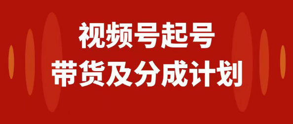视频号快速起号，分成计划及带货，0-1起盘、运营、变现玩法，日入1000+-独家科技资源网