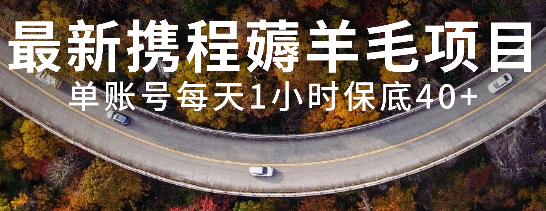 最新携程薅羊毛项目，单账号每天1小时保底收益40+，可矩阵操作-独家科技资源网