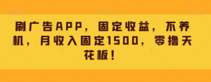 刷广告APP，固定收益，不养机，月收入固定1500，零撸天花板！-独家科技资源网
