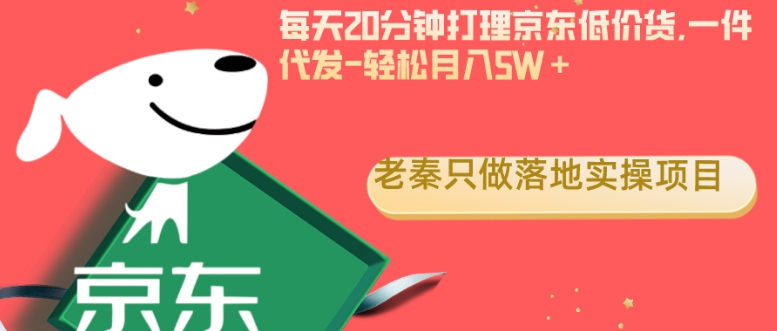 每天20分钟打理京东低价货,一件代发-轻松月入5W＋-独家科技资源网
