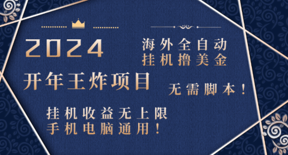 2024海外全自动挂机撸美金项目！手机电脑均可，无需脚本，收益无上限！-独家科技资源网