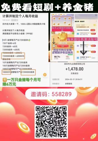 免费看短剧，还能0撸养猪分红，刚上线1天！单人收益1478！！-独家科技资源网