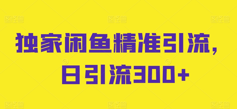 独家闲鱼精准引流，日引流300+【揭秘】-独家科技资源网