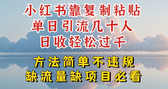 小红书靠复制粘贴单日引流几十人目收轻松过千，方法简单不违规【揭秘】-独家科技资源网