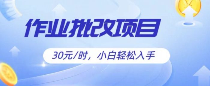 批改作业项目，30元时，简单容易上手，适合宝妈，大学生-独家科技资源网