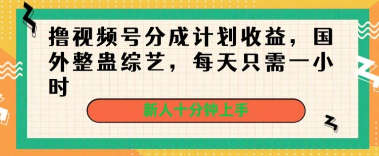 撸视频号分成计划收益，国外整蛊综艺，每天只需一小时，新人十分钟上手-独家科技资源网