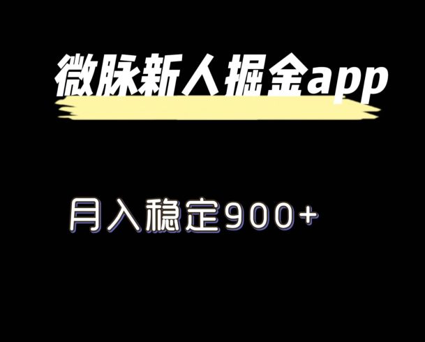 最新微脉长久项目，拉新掘金，月入稳定900+-独家科技资源网