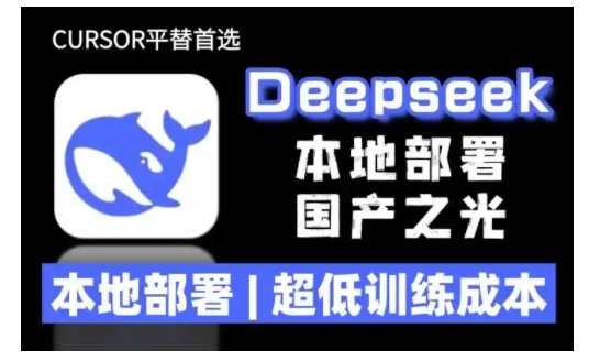 2025年deepseek R1 大型模型本地安装部署(文件+教程)本地部署，超低训练成本-独家科技资源网