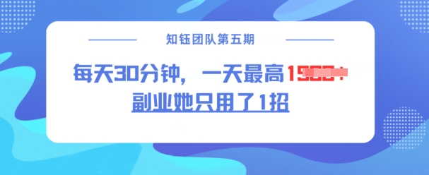 副业她只用了1招，每天30分钟，无脑二创，一天最高1.5k-独家科技资源网