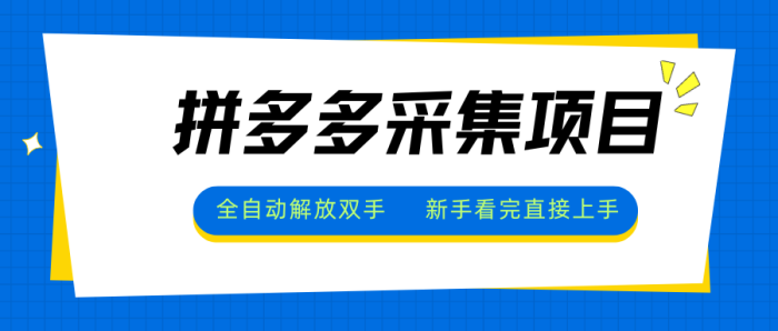 拼多多采集项目，无脑操作，新手小白一天轻松500+-独家科技资源网