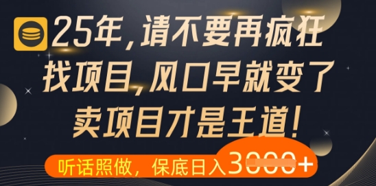 什么？25年你还在疯狂找项目做，醒醒吧，看完这些你全都懂了【揭秘】-独家科技资源网