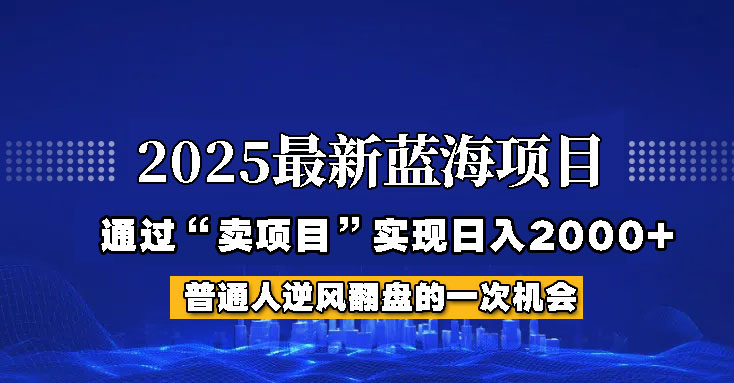 2025年蓝海项目，如何通过“网创项目”日入2000+-独家科技资源网