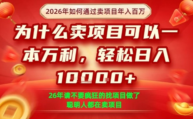 一单净利润1K+，26年想年入100个W，死磕卖项目就够了【揭秘】-独家科技资源网