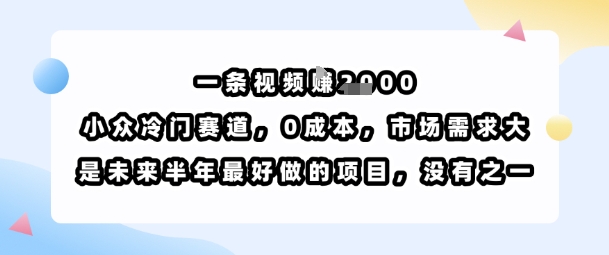 一条视频挣1k，小众冷门赛道，0成本，市场需求大，是未来半年最好做的项目，没有之一-独家科技资源网