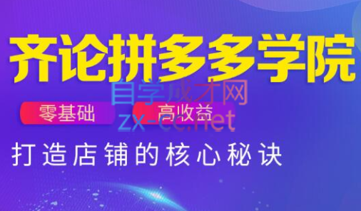 齐论拼多多vip课程-独家科技资源网