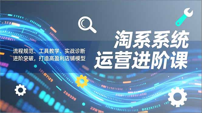 淘系系统运营进阶课2.0，流程规范、工具教学、实战诊断，进阶突破，打造高盈利店铺模型-独家科技资源网