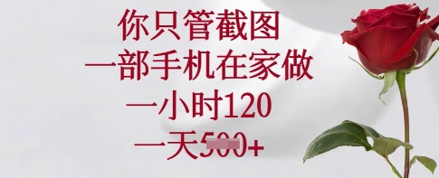 你只管截图，一部手机在家做，一小时120.一天5张【揭秘】-独家科技资源网