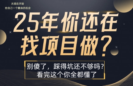 25年，你还在疯狂的找项目吗？别傻了，看完这个你都懂了【揭秘】-独家科技资源网
