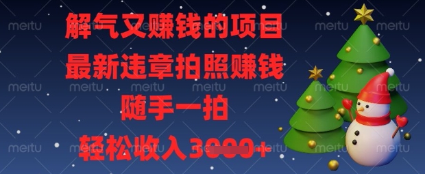 解气又挣钱的项目，最新违章拍照挣钱，随手一拍，轻松收入数张【揭秘】-独家科技资源网