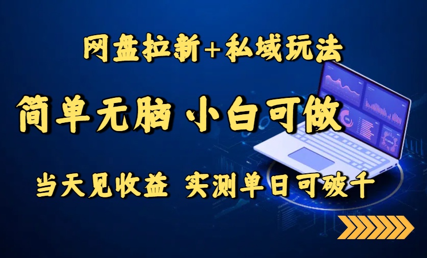 网盘拉新+私域玩法，简单无脑，小白可做，当天见收益，实测单日可破千-独家科技资源网