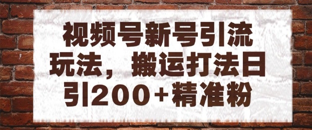 视频号新号引流玩法，搬运打法日引200+精准粉，可矩阵放大【揭秘】-独家科技资源网