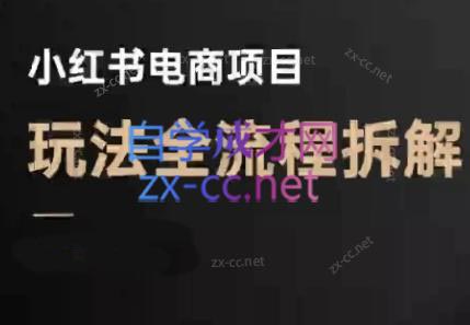 菲菲老师·小红书电商玩法(更新9月)-独家科技资源网