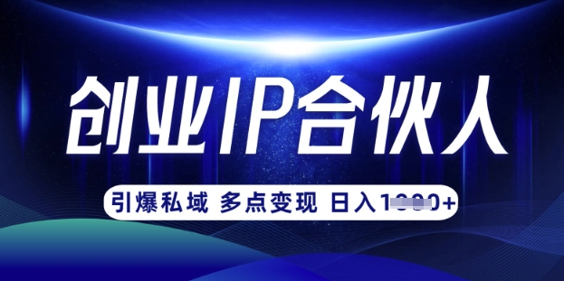 云帆·创业ip合伙人打造3.0，从0到1教你做网创，实现月入过W-独家科技资源网