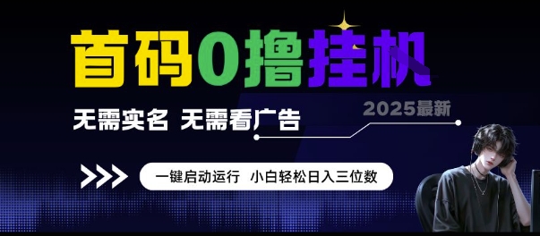 首码0撸挂G项目，无需实名无需看广告 一键启动运行，小白轻松日入三位数【揭秘】-独家科技资源网
