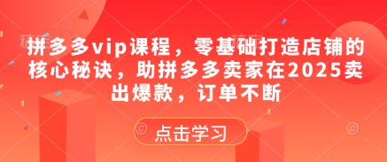拼多多vip课程，零基础打造店铺的核心秘诀，助拼多多卖家在2025卖出爆款，订单不断-独家科技资源网