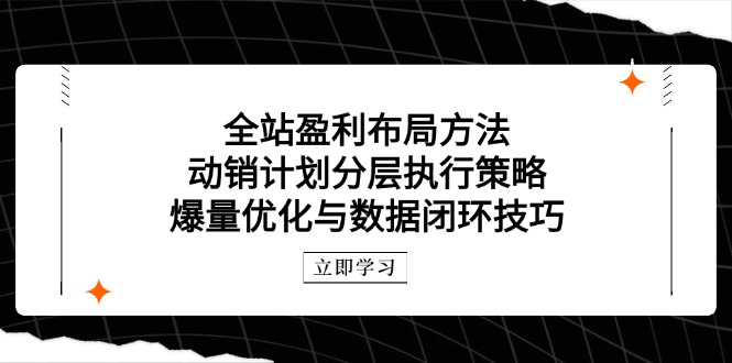 全站盈利布局方法：动销计划分层执行策略，爆量优化与数据闭环技巧-独家科技资源网