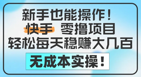 新手也能操作，快手零撸挣米，轻松每天挣2-5张，完全无成本-独家科技资源网