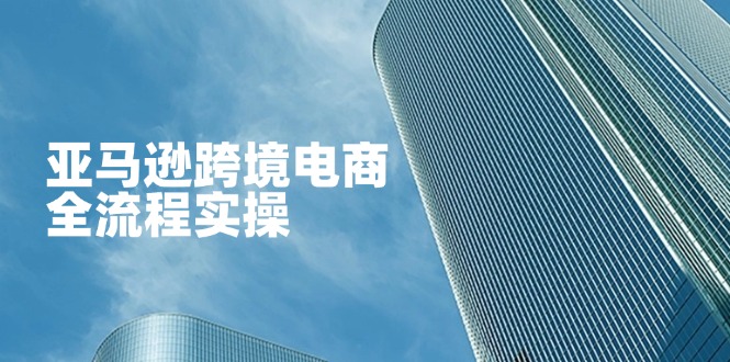 亚马逊跨境电商全流程实操，教你从零开始，掌握店铺运营与广告技巧-独家科技资源网