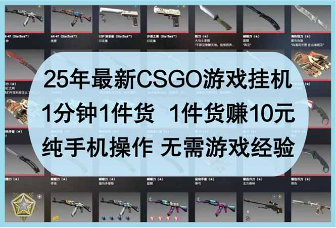 25年最新CSGO游戏挂机，1分钟1件货，1件货赚10元 纯手机操作 无需游戏经验-独家科技资源网