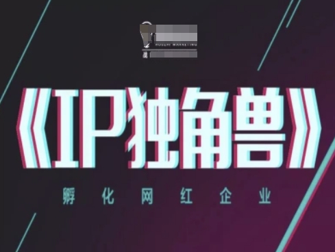 IP独角兽，孵化网红企业，ip教程-独家科技资源网