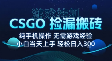 8月最新游戏搬砖，CSGO纯挂G，不需要玩游戏，实现真挂G，月入1W+【揭秘】-独家科技资源网