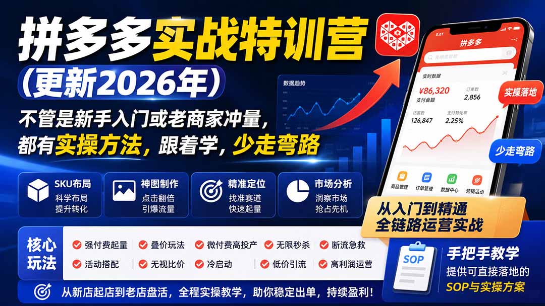 拼多多实战特训营(更新26年0821-独家科技资源网