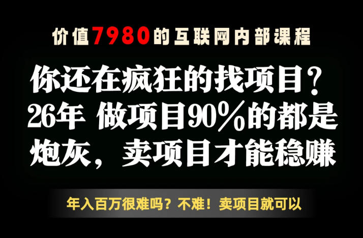 26年请不要疯狂的找项目了，卖项目远比你想象的暴利，你也可以月入10W+【揭秘】-独家科技资源网