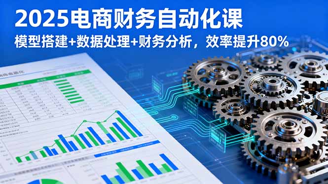 2025电商财务自动化课，模型搭建+数据处理+财务分析，效率提升80%-独家科技资源网