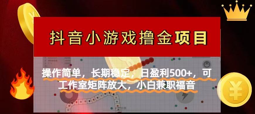 【抖音小游戏发行人计划项目】操作简单，长期稳定，日盈利500+，可工作…-独家科技资源网