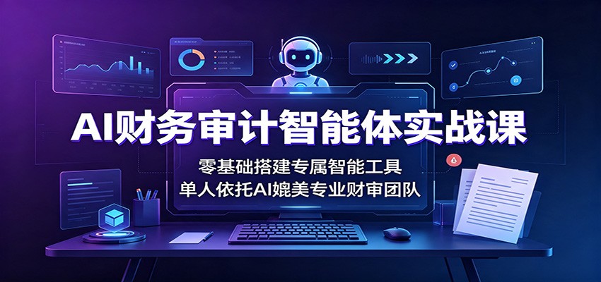 AI财务审计智能体实战课：零基础搭建专属智能工具，单人依托AI媲美专业财审团队-独家科技资源网