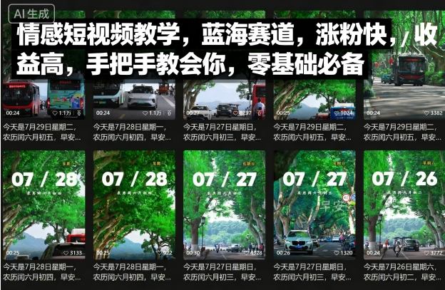 情感短视频教学，蓝海赛道，涨粉快，收益高，手把手教会你，零基础必备-独家科技资源网