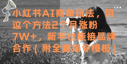 小红书AI商单玩法，用这个方法2个月涨粉7W+，新手也能接品牌合作(附全套指令模板)-独家科技资源网
