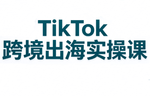 彭老师·TikTok跨境出海实操课-独家科技资源网
