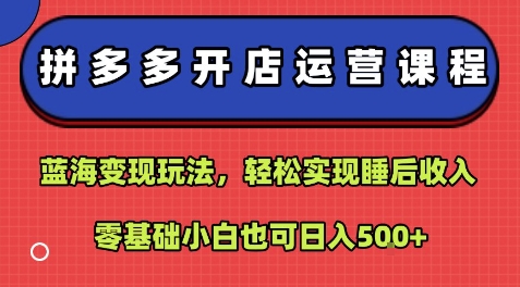 拼多多开店运营课程：蓝海变现玩法，轻松实现睡后收入，零基础小白也可日入5张-独家科技资源网