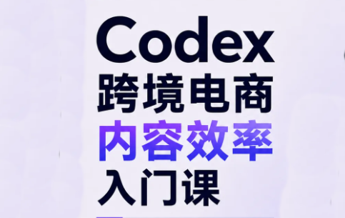 Codex跨境电商内容效率入门课-独家科技资源网