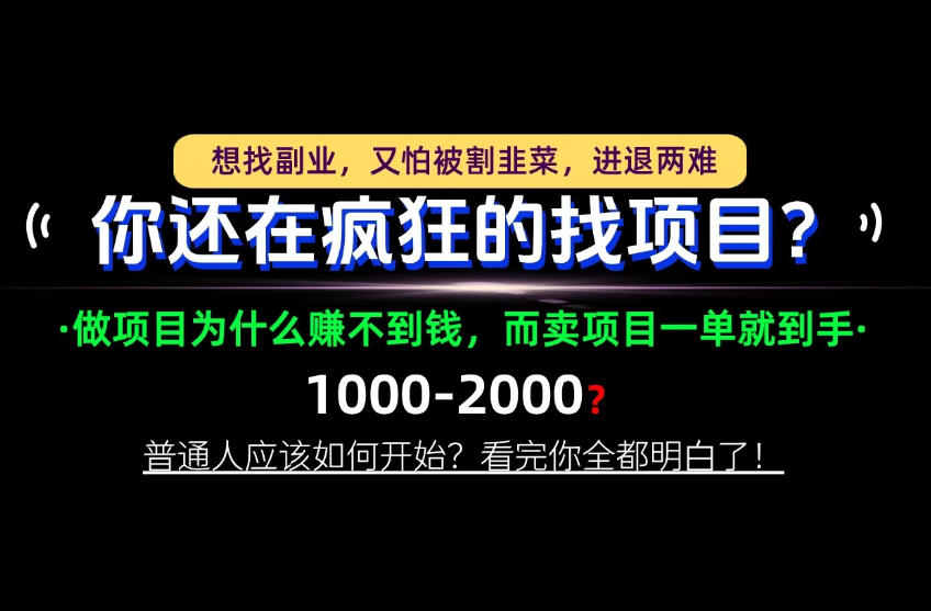 你还在疯狂的找项目?别傻了!卖项目才是真正的一本万利!怎么做,看完你全都明白!【揭秘】-独家科技资源网