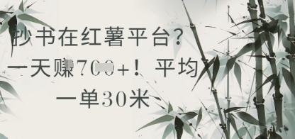 抄书在小红薯平台？平均一单30米，一天收益几张！-独家科技资源网
