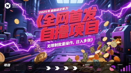 全网首发，2025年最新稳定暴力全自动自撸项目，无限制批量操作，日入多张【揭秘】-独家科技资源网
